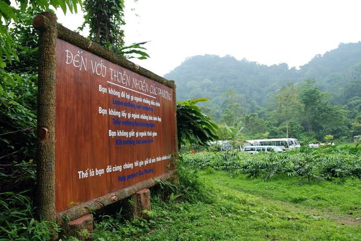 CucPhuong4.jpg