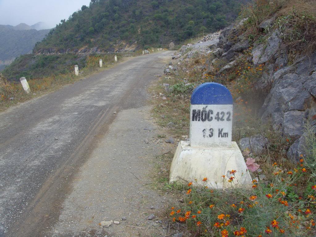 SNV30345.jpg