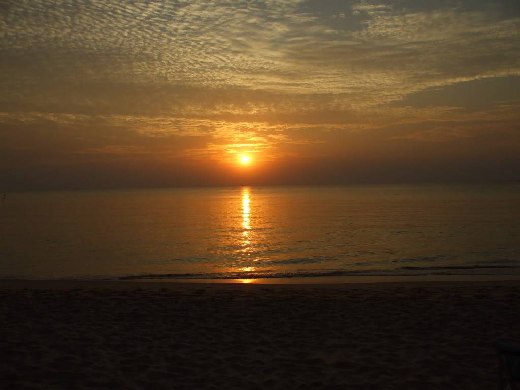 DSCF4982.jpg