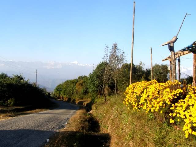 PB020307-1.jpg