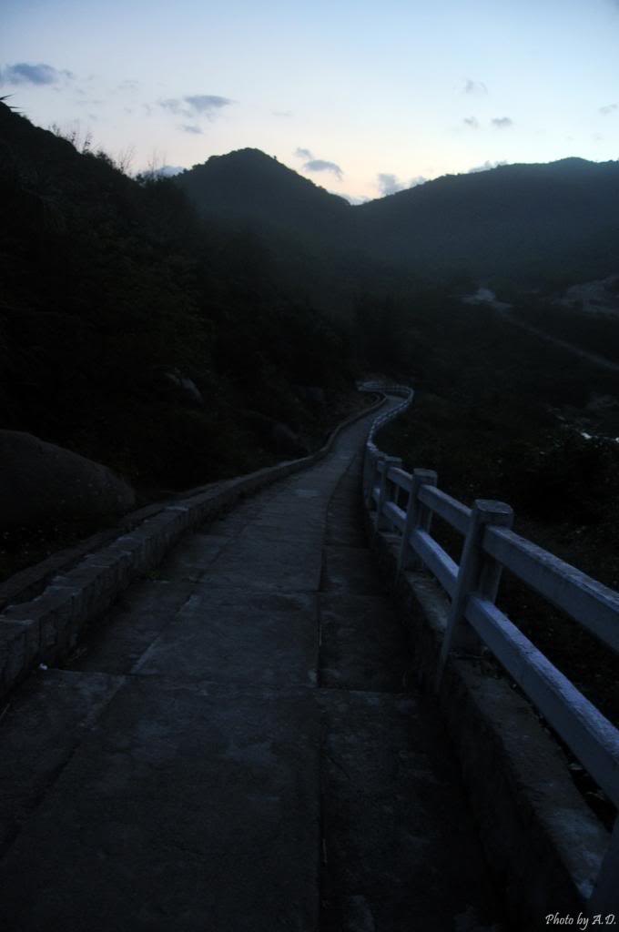 DSC_0343_zpscd4d997b.jpg