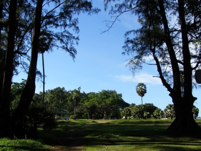 P7110354.jpg