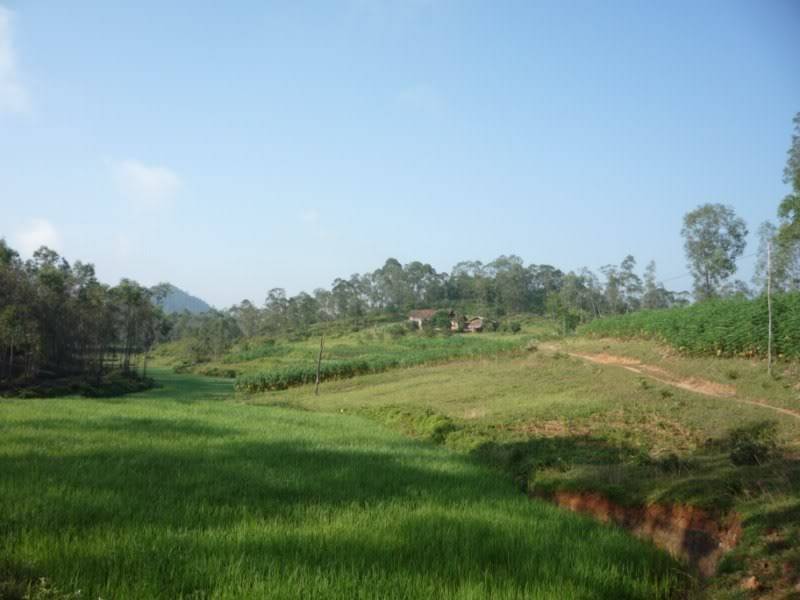 P1020032800x600.jpg