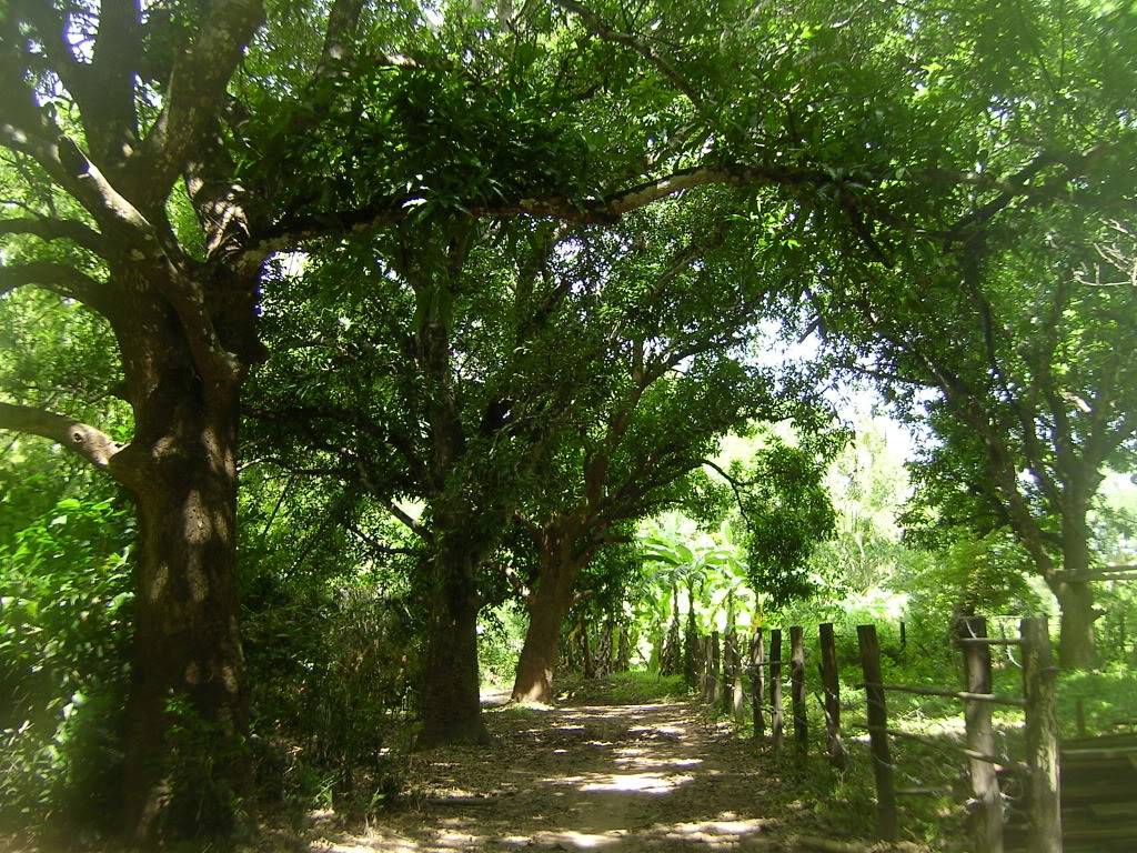 KOHTRNGDUONGCHON2.jpg