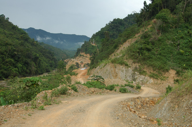 DSC_3931.jpg