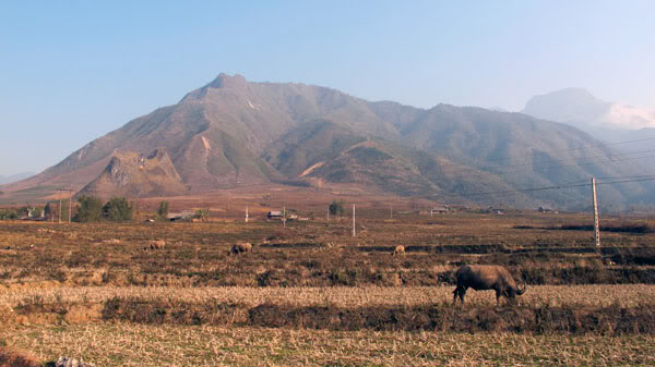 HongNgai2011082.jpg
