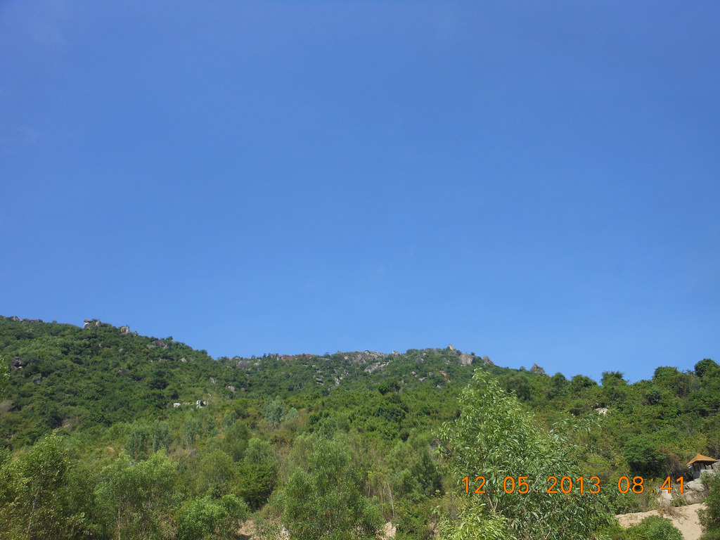 12006056584_61418abf03_b.jpg