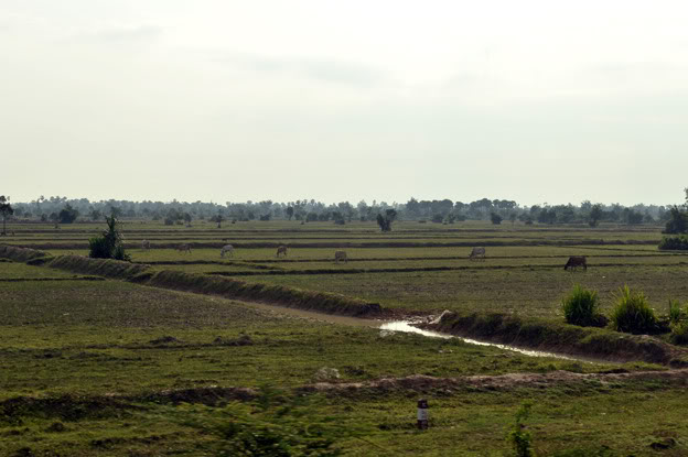 Duongdi3.jpg