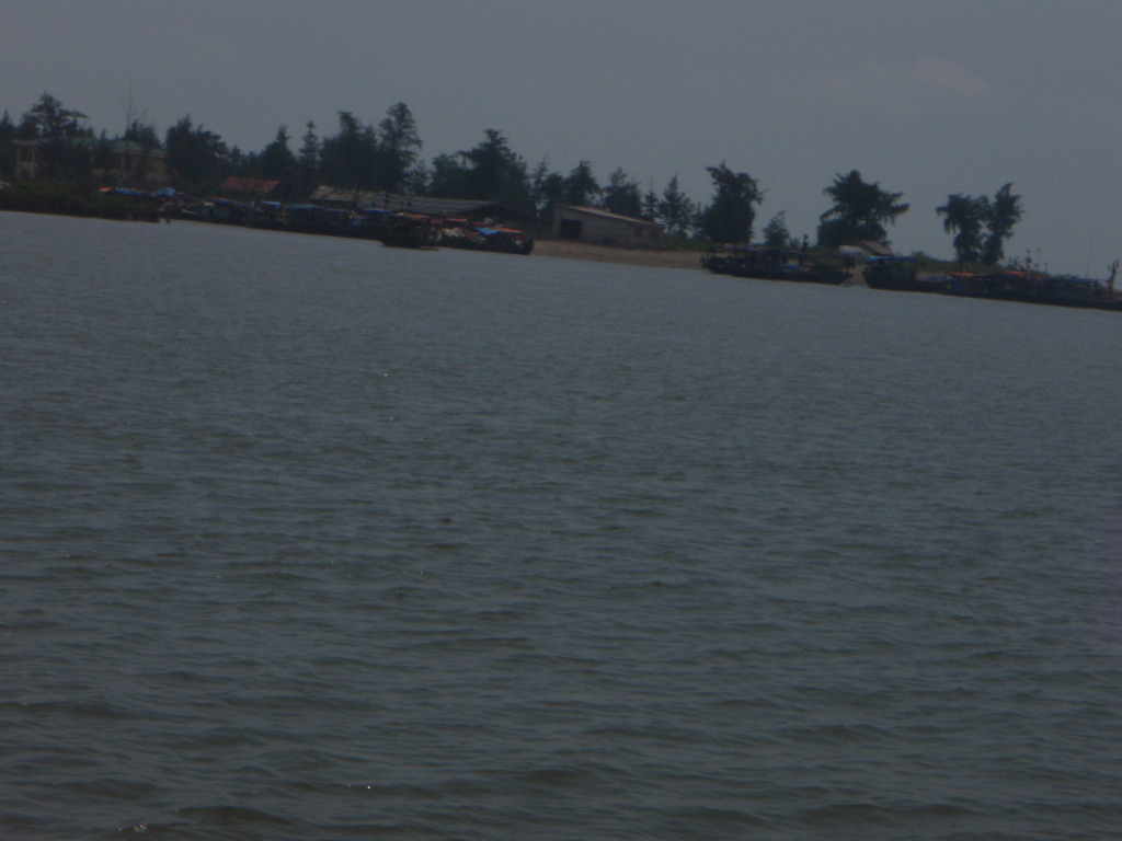 P1012677.jpg