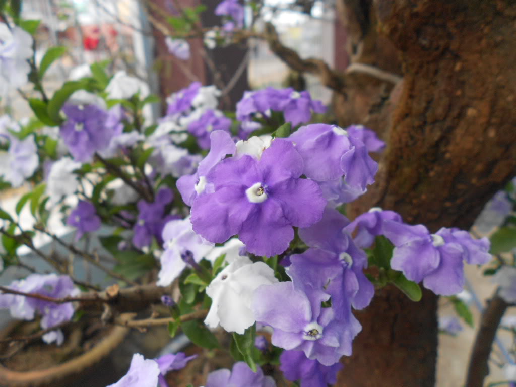 DSCN5626.jpg