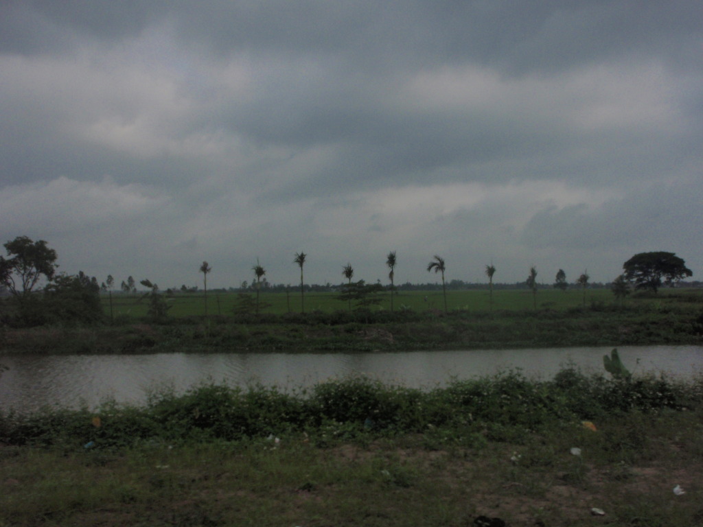 P1012520.jpg