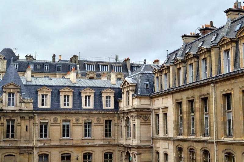 DSC_0231.jpg