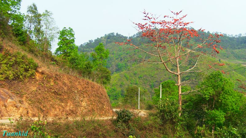 SDC16160.jpg