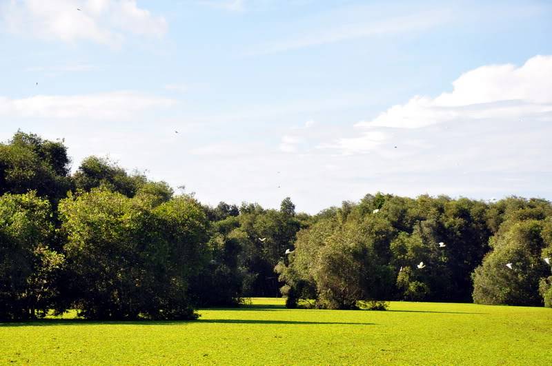 DSC_4149_resize.jpg
