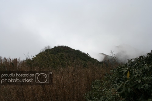 IMG_1895_zps3e695241.jpg