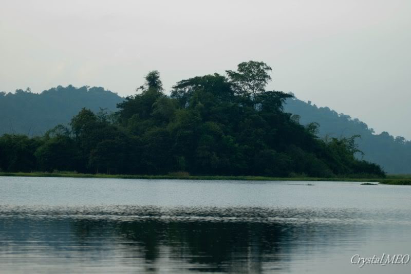 DSC_0201.jpg