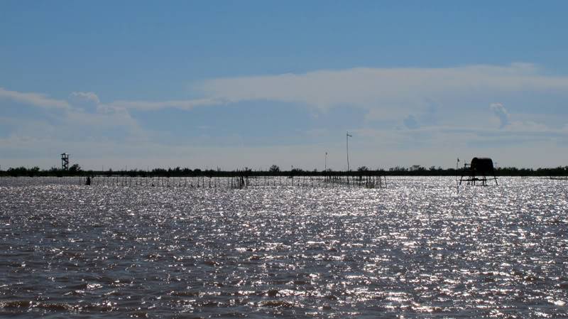 IMG_8385.jpg