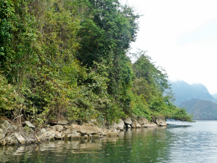 P1050550.JPG