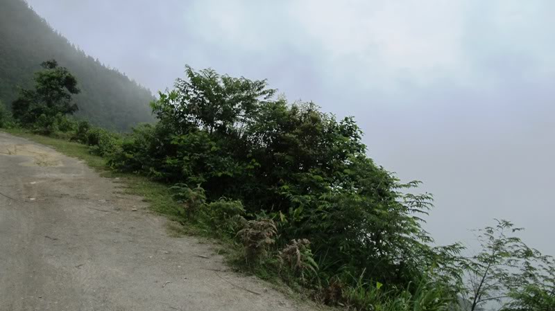 IMG_2410.jpg