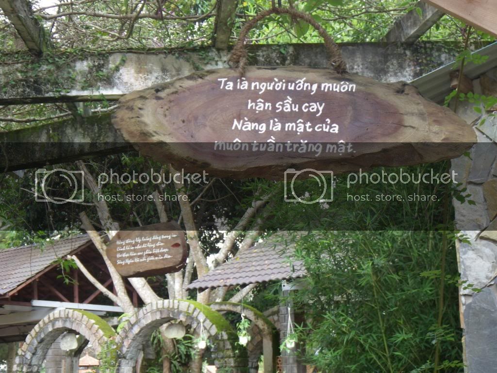 1010_zps42273955.jpg