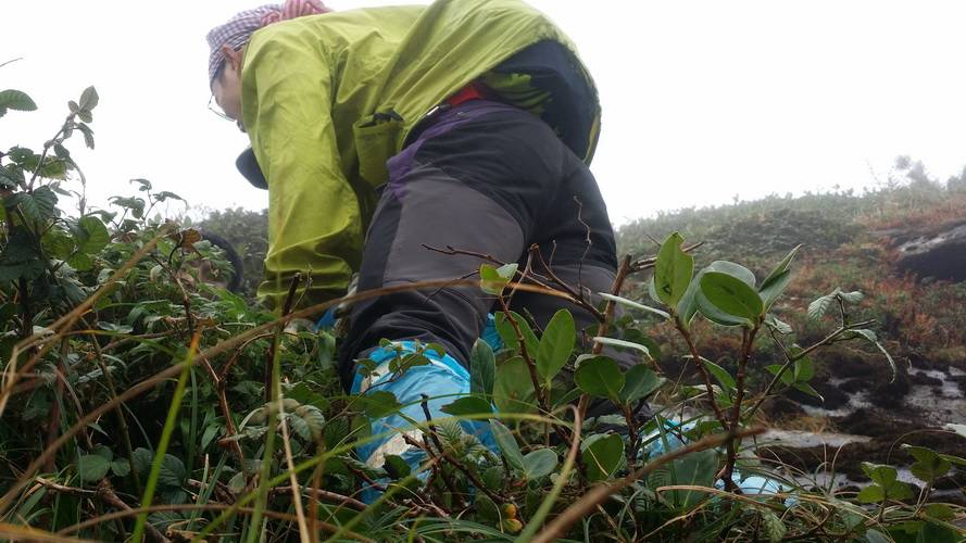 20141108_113614_zps9c3dc320.jpg