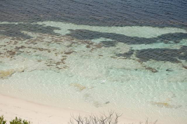 DSC_0830.jpg