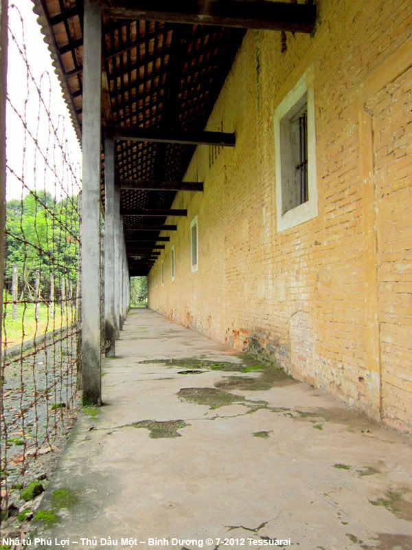 9a.jpg