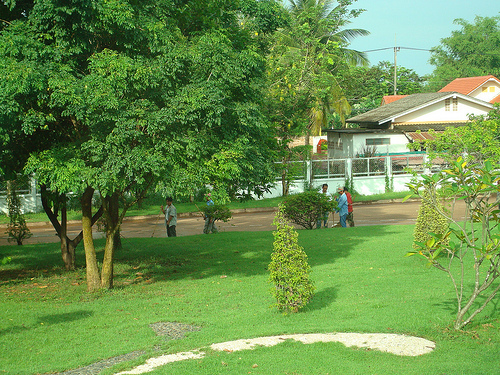 3943231861_98ea9a35ac.jpg