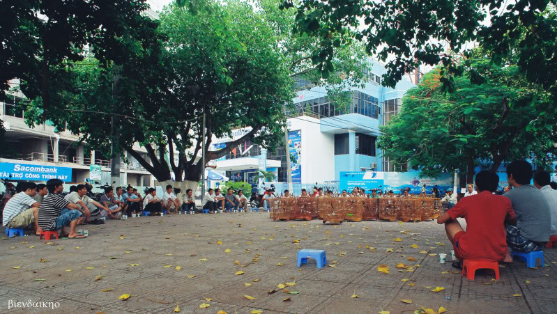 000033-16.jpg