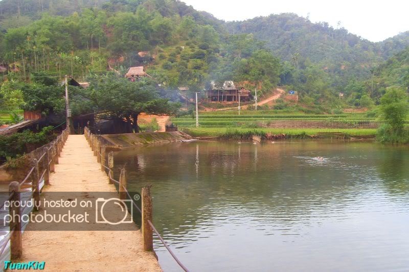 SDC12495.jpg