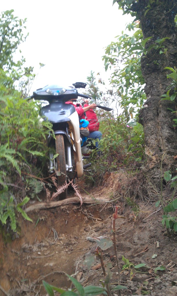 IMAG0226.jpg