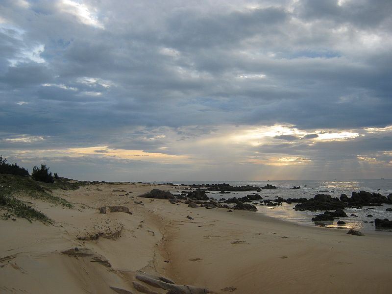 IMG_7974.jpg