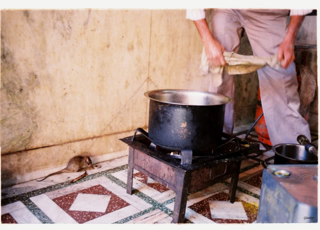 Deshnok511.jpg