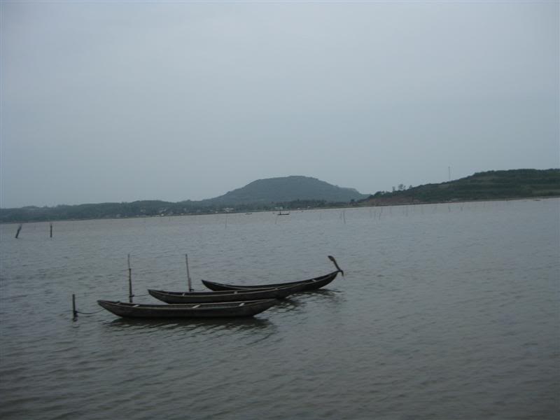 IMG_4892Medium.jpg
