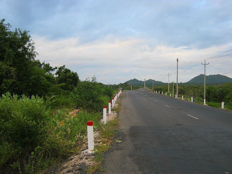 IMG_8140.jpg