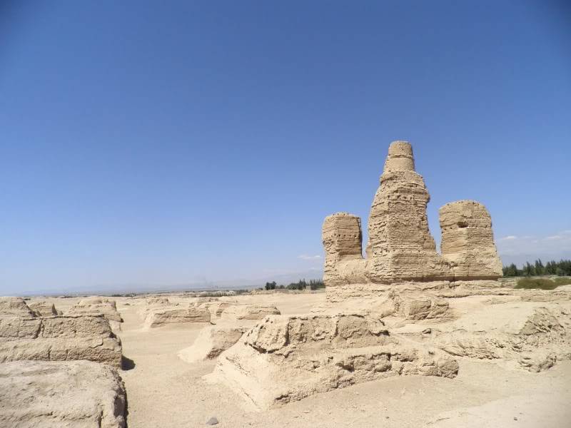 P9011753.jpg