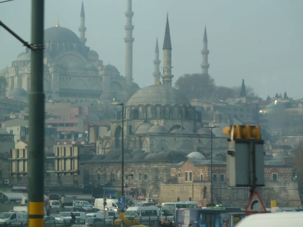 L1020662.jpg