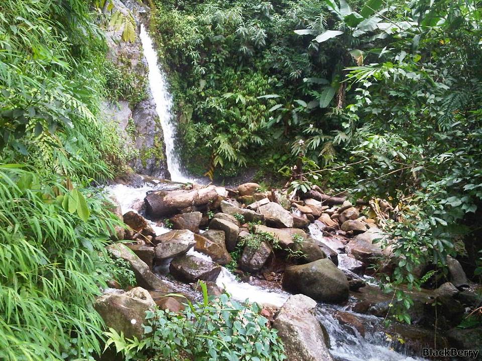 IMG-20120923-00167.jpg