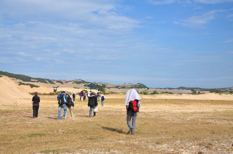 DSC_0626.jpg