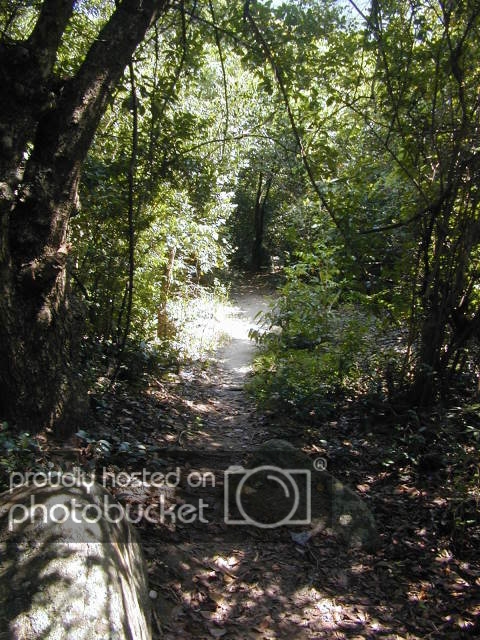 DSCN0077.jpg