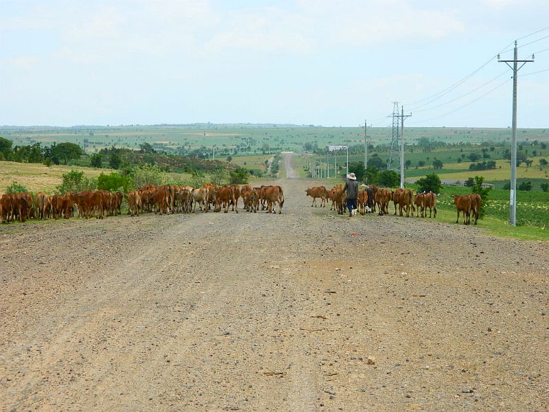 DSCN2270.jpg
