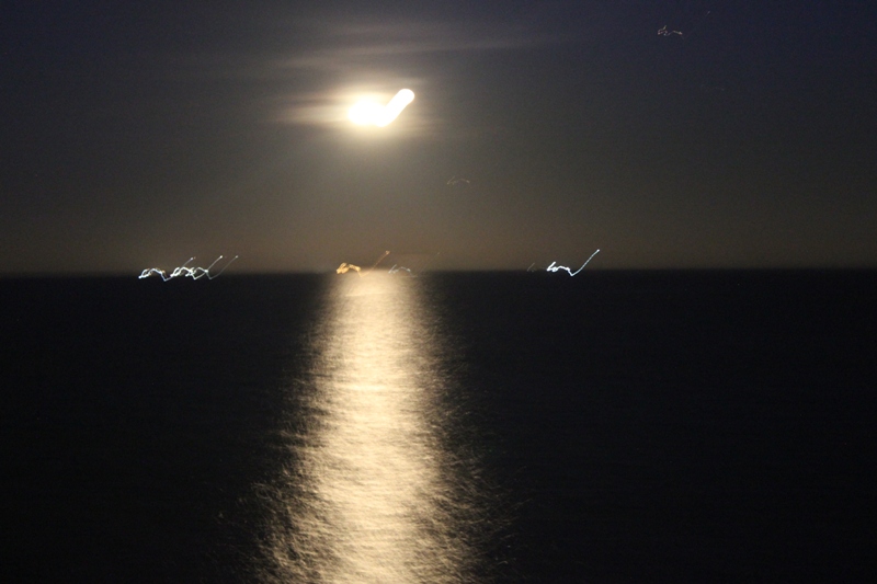 466_img9361.jpg