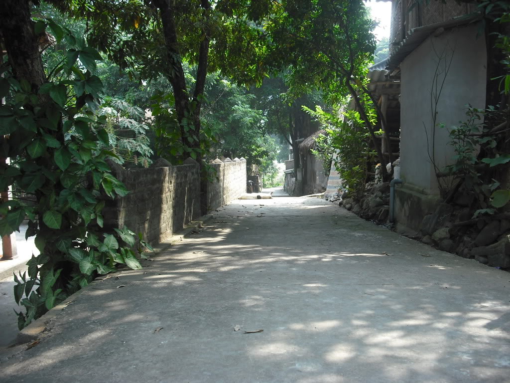DSCF6733.jpg