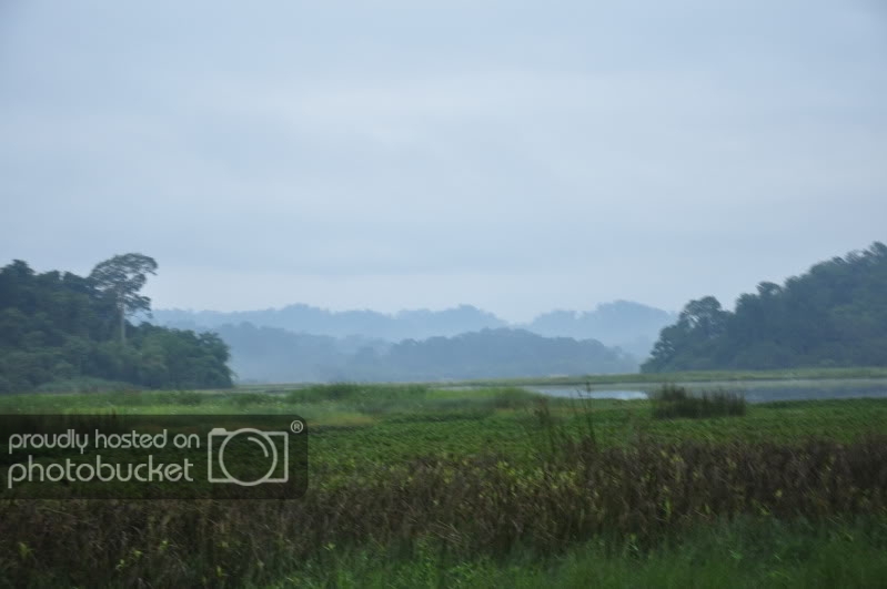 DSC_9361.jpg