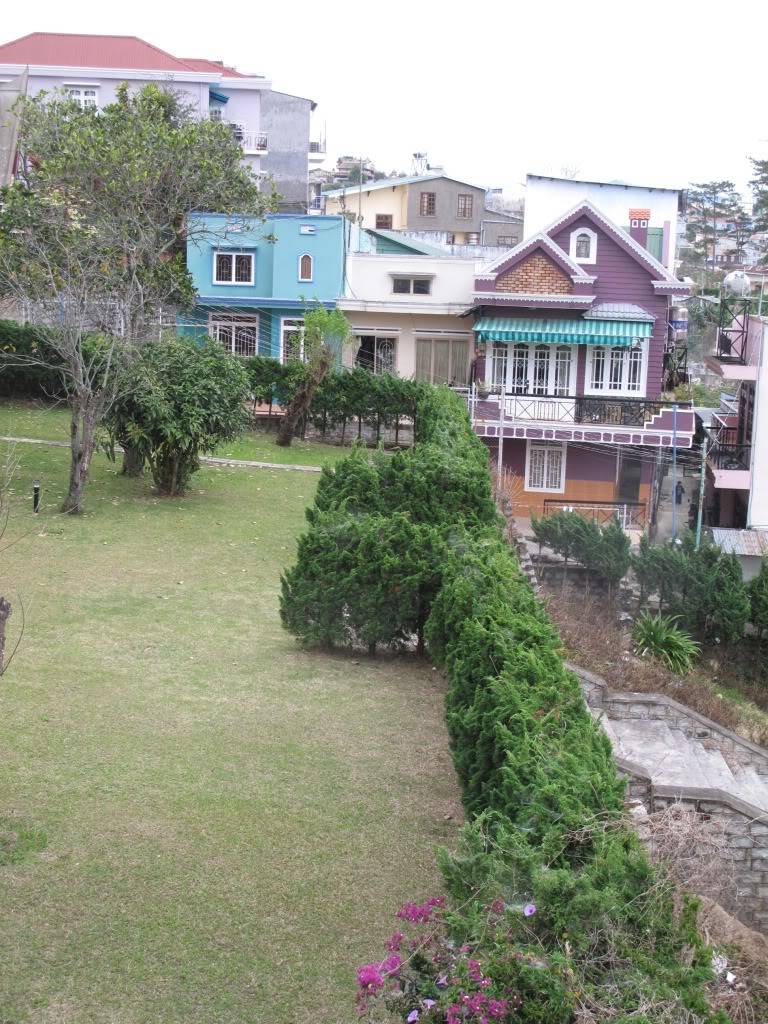 IMG_5586.jpg