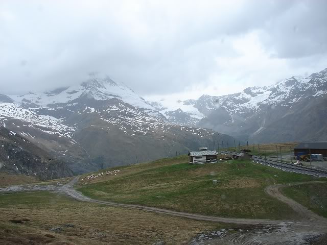 DSC09889.jpg