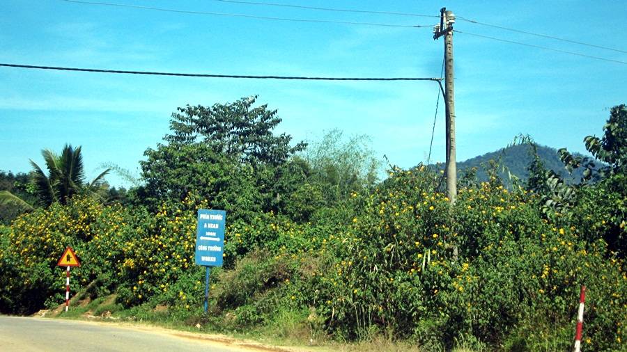129_zps78860760.jpg