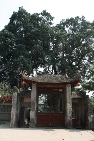 IMG_9564.jpg