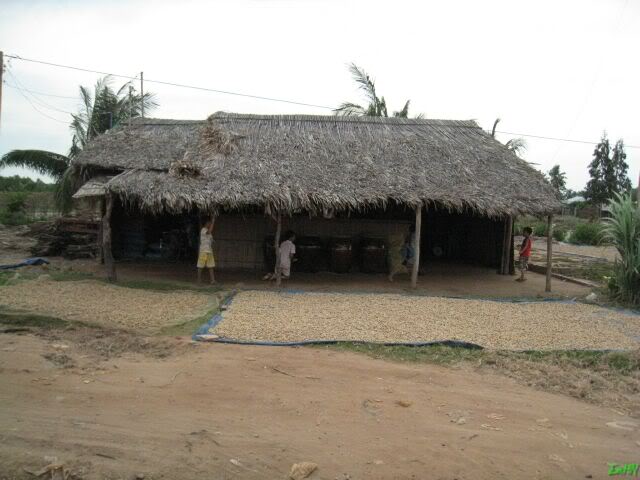 IMG_3626.jpg