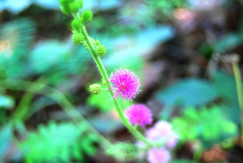 DSC_0218.jpg